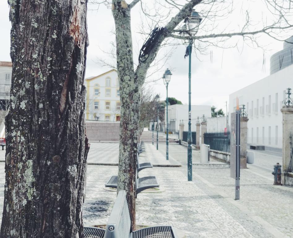 Mansao Alto Alentejo Hotell Portalegre Exteriör bild